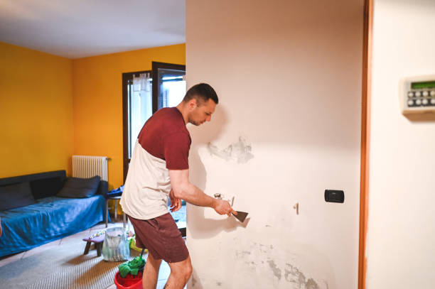 Trusted Staunton, IL Mold Remediation Experts